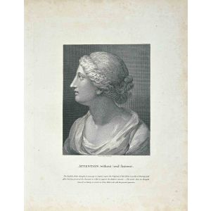 Portrait of Woman