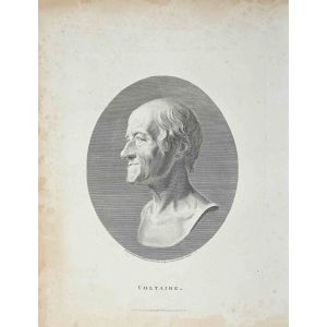 Portrait of Voltaire