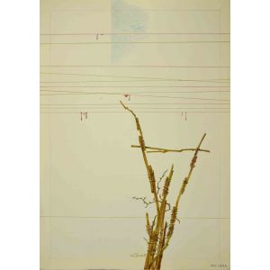 Composition