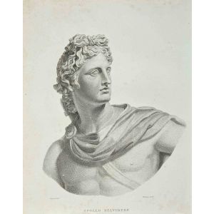 Portrait of Apollo Belvidere - SOLD