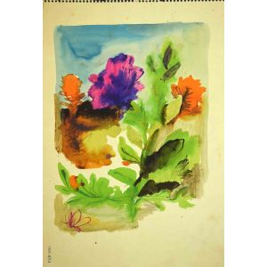 Plants and Flowers