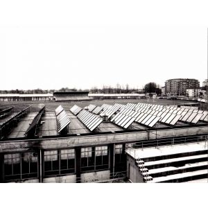 The Solar Panels