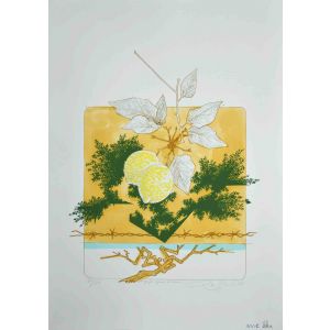 Still Life
