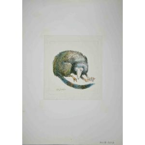Lemur