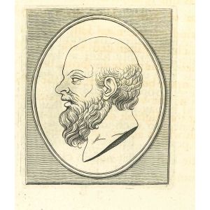 Portrait of a Man
