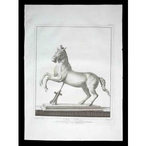 Ancient Roman Statue of the horse