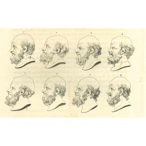 Heads of Man