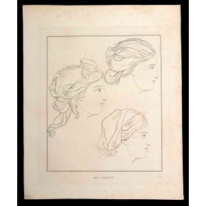 Profile of a Woman