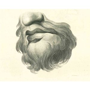 Lips Portrait