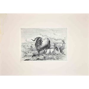 Goats  in the Roman Countryside