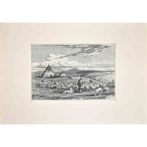 The Landscape of Roman Countryside