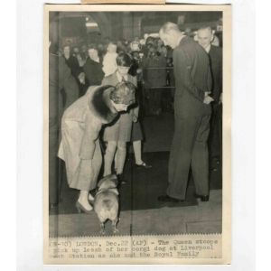 Queen Elizabeth  with her Dog -  Vintage Photograph