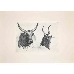 The Bulls  in the Roman Countryside