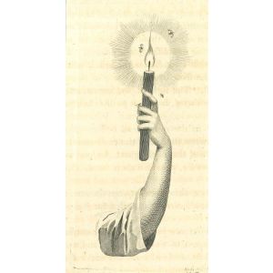 Arm of a Man