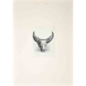 The Bull's Skull