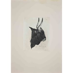 The Buffalo