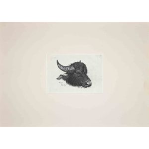 The Buffalo