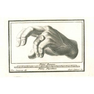 Ancient Hand of Hercolaneum - Vincenzo Campana - Old Masters