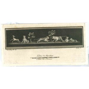 Ancient Roman Animals