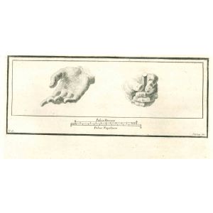 Ancient Roman Hands