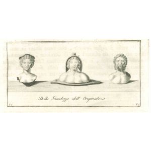 Ancient Roman Busts