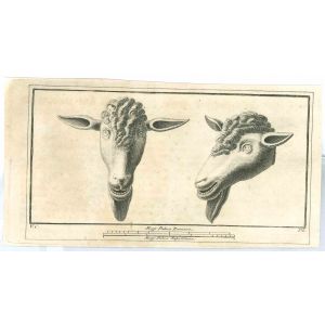 Ancient Roman Statues of Sheep 