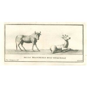 Ancient Roman Statues of  Animals