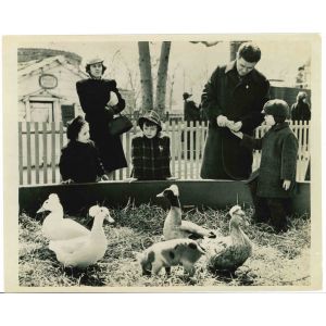 An American Zoological Garden - Vintage Photograph