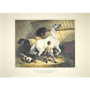 Chevaux de Selle et d'Attelage