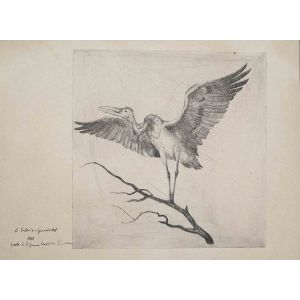 The Bird