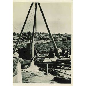 The Desert Can Be Reclaimed- American Vintage Photograph