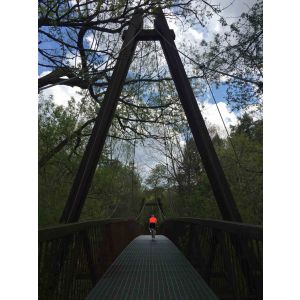 Vanishing Point