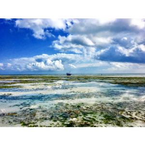 Cindi Emond - Climate Change - Author's Photographs