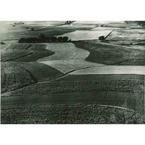 Leadership in Agricultural Production - American Vintage Photograph