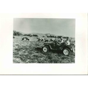 American Cattle Breeder - American Vintage Photograph