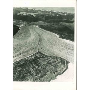 International Ocean Safety - American Vintage Photograph 