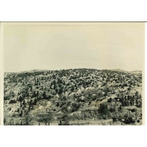 Man-made Miracle- American Vintage Photograph 