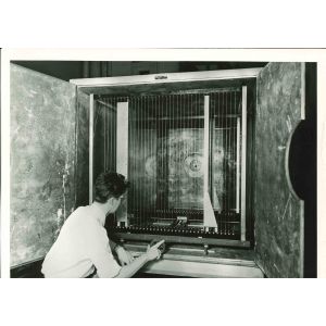 Individual Re search - American Vintage Photograph