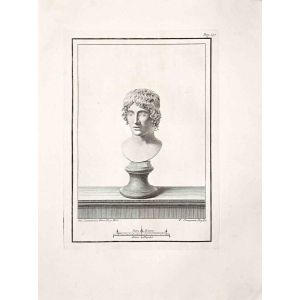 Antiquities of Herculaneum Exposed