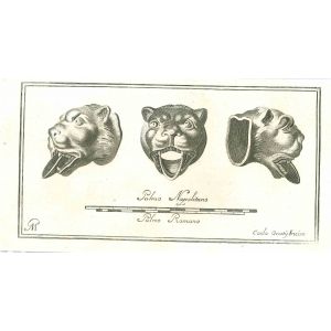 Ancient Roman Jaguar - Carlo Oraty