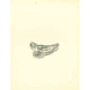 Emmanuel Gondouin - Deer - Modern Art