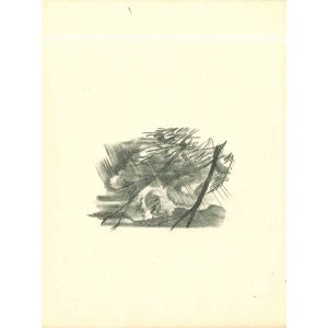 The Storm