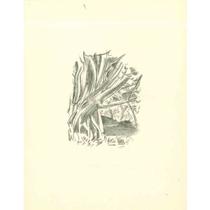 African Forest