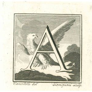 Capital letter for the Antiquities of Herculaneum Exposed