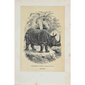 Hippopotamus Unicorn