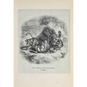 The Lion, Jaguar, Tiger