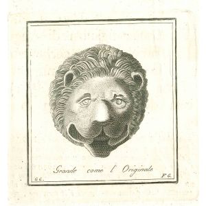 Ancient Lion Head - Vincenzo Campana - Old Masters