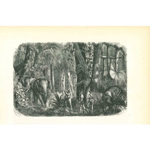 The Elephant Hunters