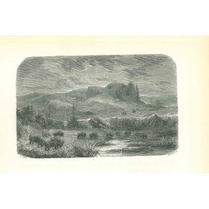 The Terrain