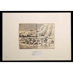 Landscape from 